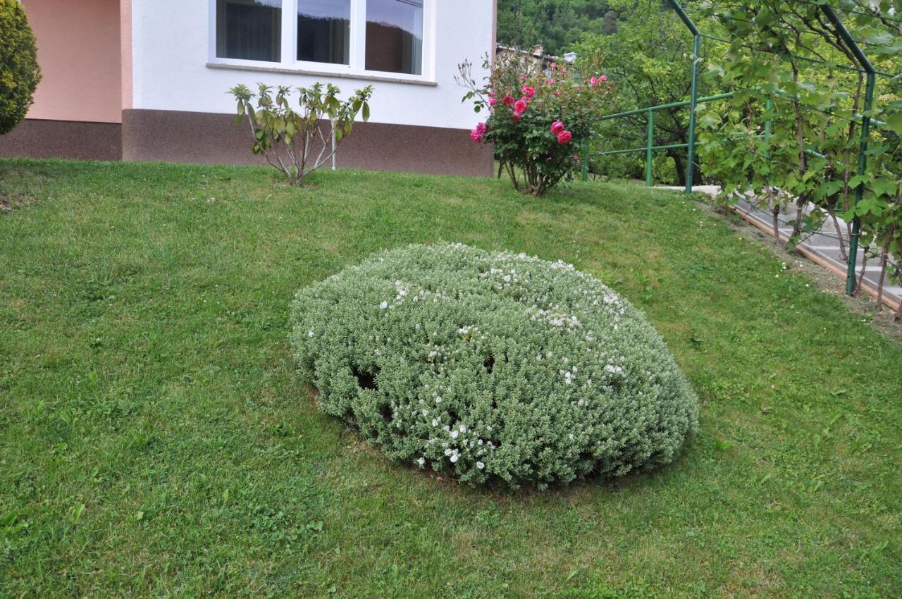 Rezidenca Ervin 3*